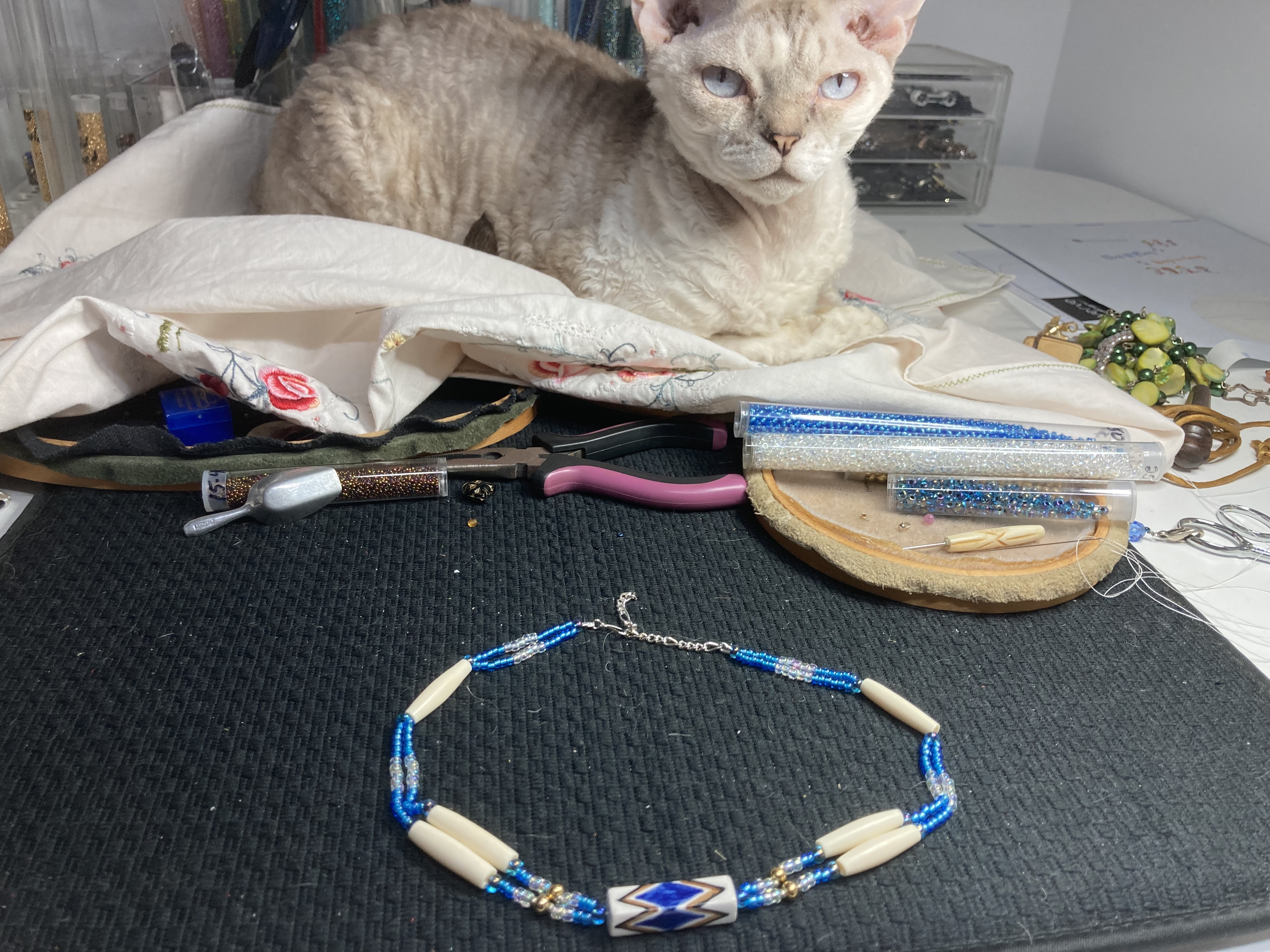 Jewellery showcase